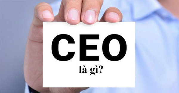 Giải đáp: CEO học ngành gì? Học ngành gì để làm CEO? - Máy Ép Cám Nổi | Dây Chuyền Sản Xuất Thức Ăn Thủy Sản Tối Ưu