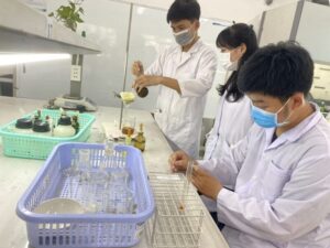 Ngành Dược được đánh giá là một trong những ngành thuộc khối sức khỏe có triển vọng phát triển bền vững, với nhu cầu nhân lực ngày càng tăng trong nhiều lĩnh vực